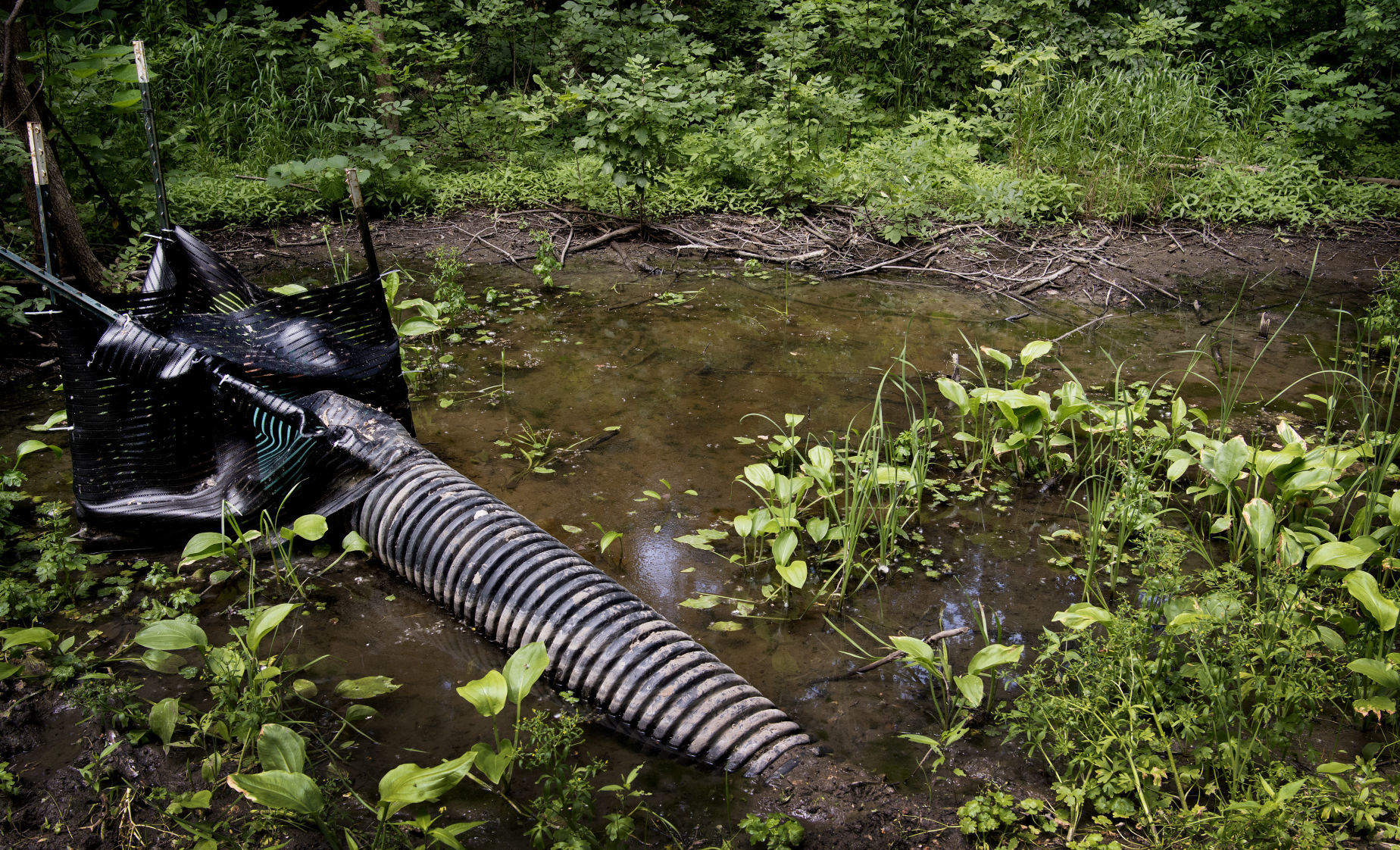 Rock Island Trail Drainage, 7.4